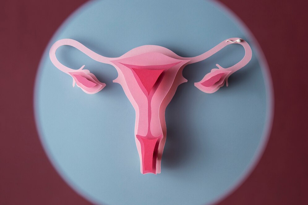 Hymenoplasty (Hymen Reconstruction)
