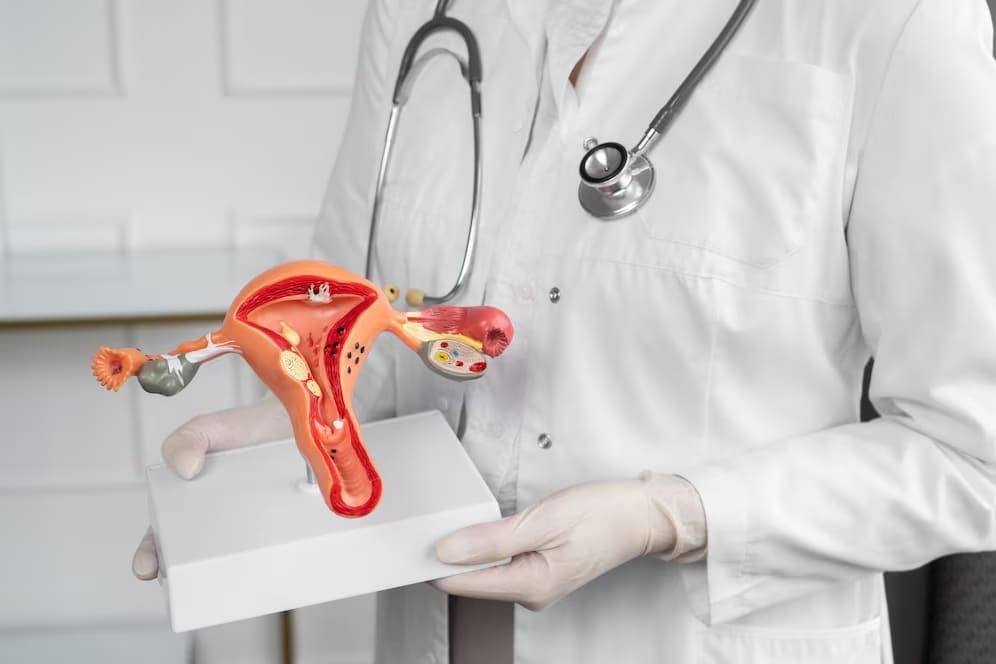 Labia Minora Reduction (Labiaplasty)